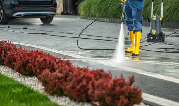 Best Roof Power Washing Services  in Long Hill, CT